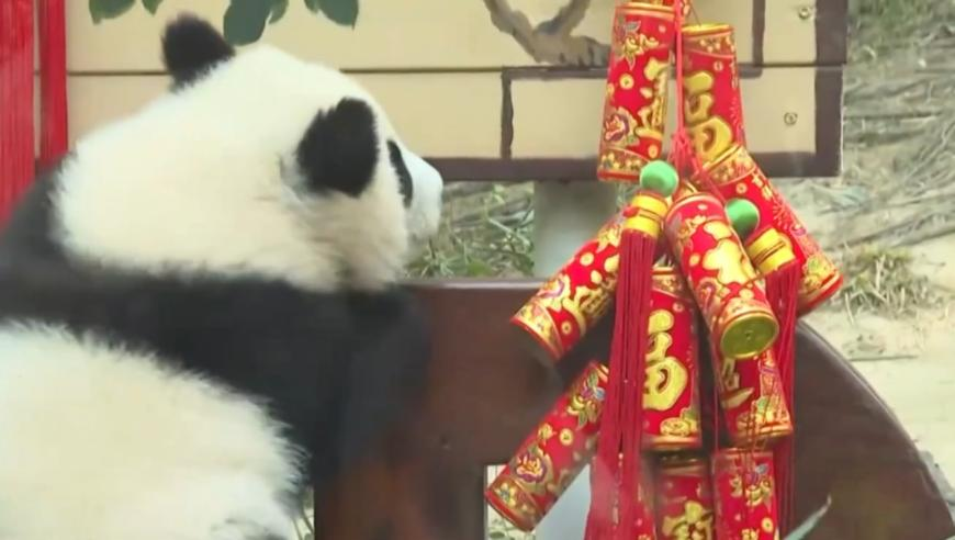今晚澳门六彩现场直播,终于有人能接上哪吒的rap了,全面解答解释落实_至尊版V9.10