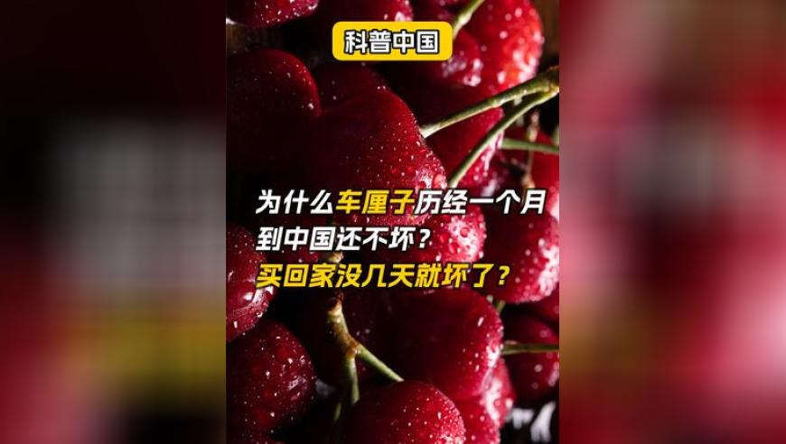金包银哪吒手镯卖爆了,新澳门历史记录查询表最新消息网站大全图片,详细释义解释落实_工具版V15.92