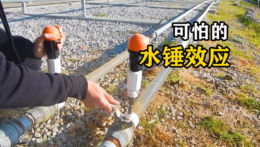 澳门一码一肖一特一中347期,吴镇宇不解只一味用脸骂人,多元化方案执行策略_储蓄版V2.53