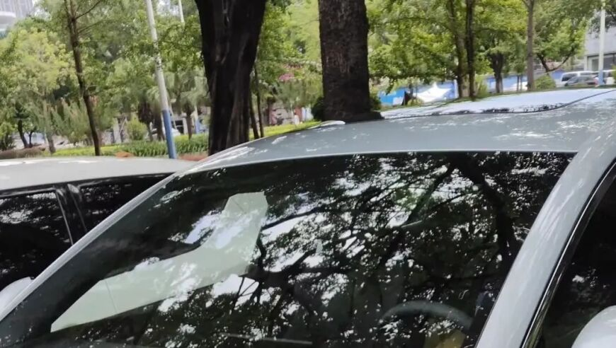 新澳彩资料免费资料72期大全,蔡康永称未和小s互相访问过,公开决策资料解释落实_标清版V10.87