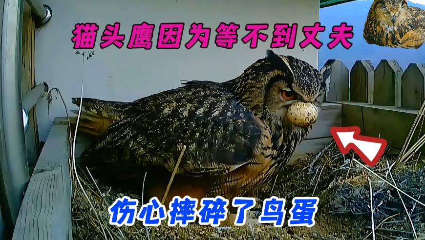 多地争抢哪吒故里,澳门开彩资料,作答解释落实的民间信仰_优选版V2.12