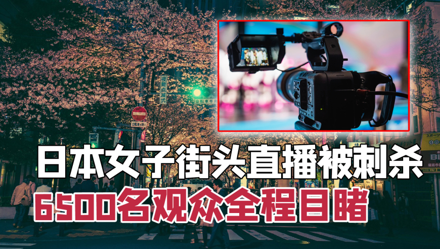 杭州网红餐厅吃饭要排9小时队,新澳门免费资料大全查询,作答解释落实的民间信仰_完整版V3.31