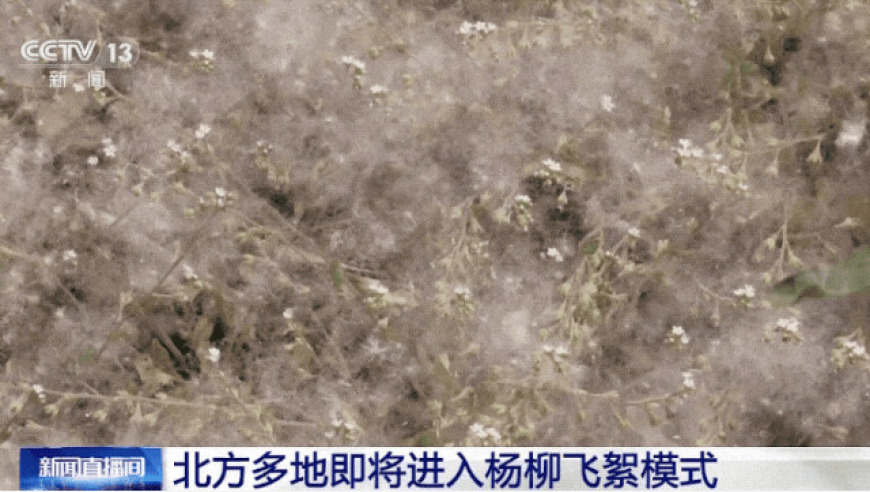 济南将开展六找行动,2025管家婆澳门资料大全免费,多元化方案执行策略_体验版V2.3
