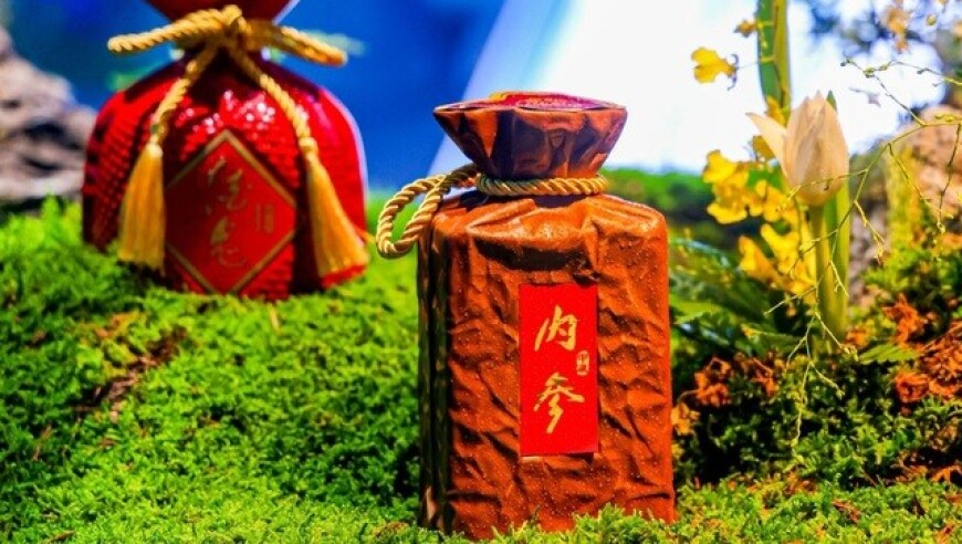 小狗每天带邻居家的羊出去玩,六资料香港正版,经典解释落实_基础版V10.64